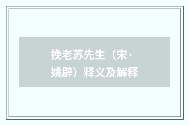挽老苏先生（宋·姚辟）释义及解释