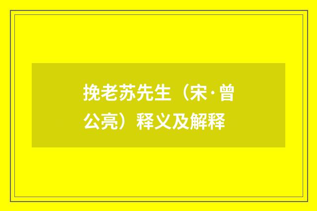 挽老苏先生（宋·曾公亮）释义及解释
