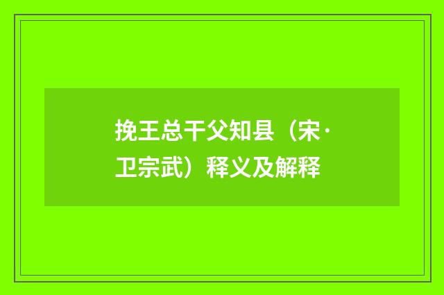 挽王总干父知县（宋·卫宗武）释义及解释