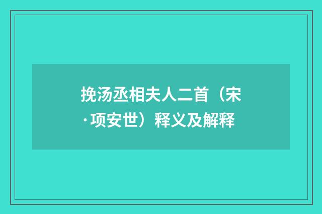 挽汤丞相夫人二首（宋·项安世）释义及解释