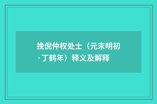 挽倪仲权处士（元末明初·丁鹤年）释义及解释
