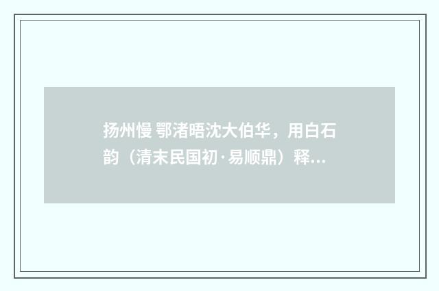 扬州慢 鄂渚晤沈大伯华，用白石韵（清末民国初·易顺鼎）释义及解释