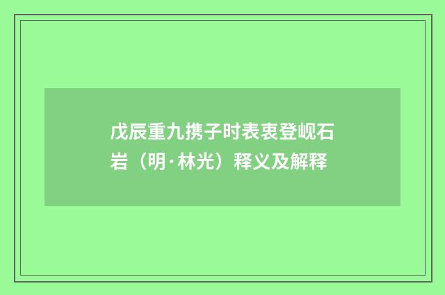 戊辰重九携子时表衷登岘石岩（明·林光）释义及解释