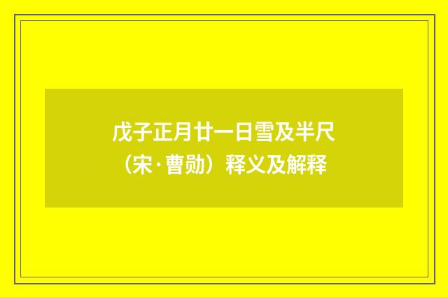 戊子正月廿一日雪及半尺（宋·曹勋）释义及解释