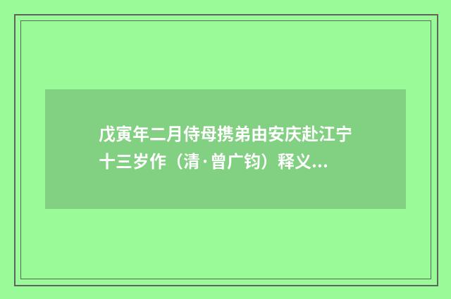 戊寅年二月侍母携弟由安庆赴江宁十三岁作（清·曾广钧）释义及解释