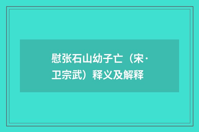 慰张石山幼子亡（宋·卫宗武）释义及解释