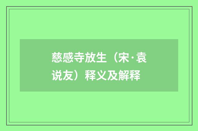 慈感寺放生（宋·袁说友）释义及解释