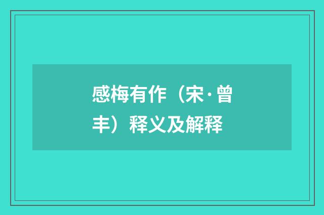 感梅有作（宋·曾丰）释义及解释