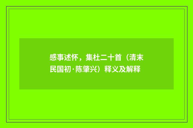 感事述怀，集杜二十首（清末民国初·陈肇兴）释义及解释