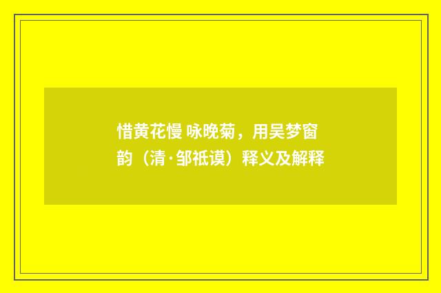 惜黄花慢 咏晚菊，用吴梦窗韵（清·邹祗谟）释义及解释