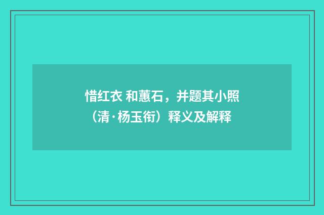 惜红衣 和蕙石，并题其小照（清·杨玉衔）释义及解释