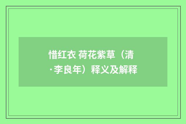 惜红衣 荷花紫草（清·李良年）释义及解释