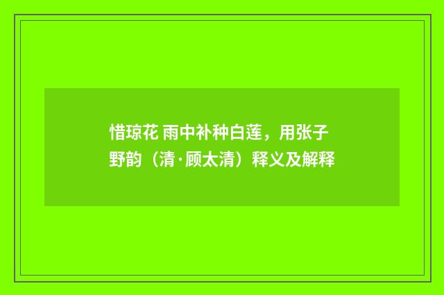 惜琼花 雨中补种白莲，用张子野韵（清·顾太清）释义及解释