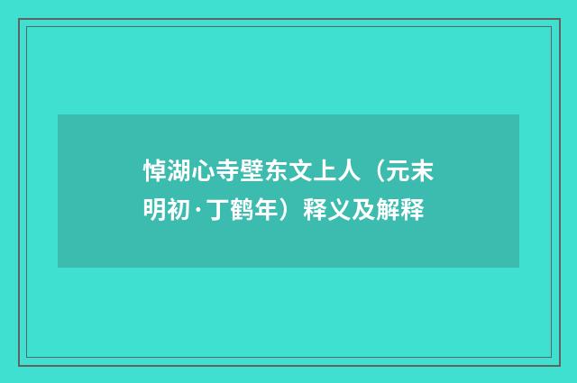 悼湖心寺壁东文上人（元末明初·丁鹤年）释义及解释