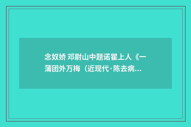 念奴娇 邓尉山中题诺瞿上人《一蒲团外万梅（近现代·陈去病）释义及解释