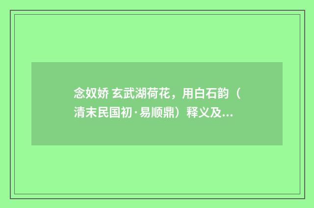念奴娇 玄武湖荷花，用白石韵（清末民国初·易顺鼎）释义及解释