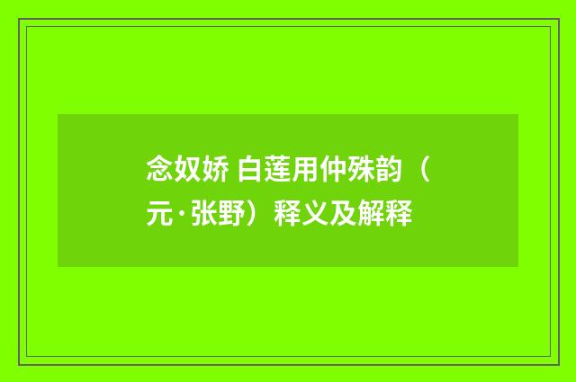 念奴娇 白莲用仲殊韵（元·张野）释义及解释