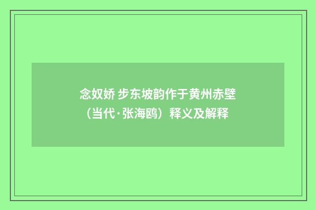 念奴娇 步东坡韵作于黄州赤壁（当代·张海鸥）释义及解释