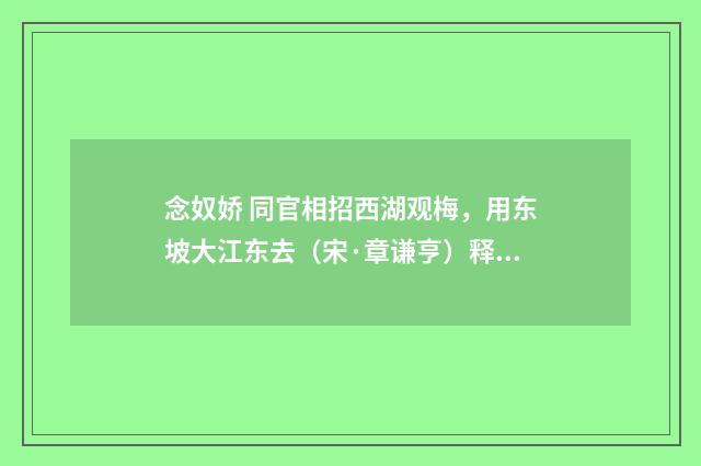 念奴娇 同官相招西湖观梅，用东坡大江东去（宋·章谦亨）释义及解释