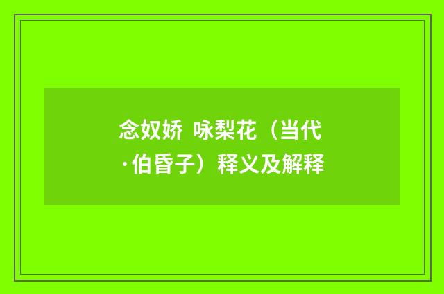念奴娇 咏梨花（当代·伯昏子）释义及解释