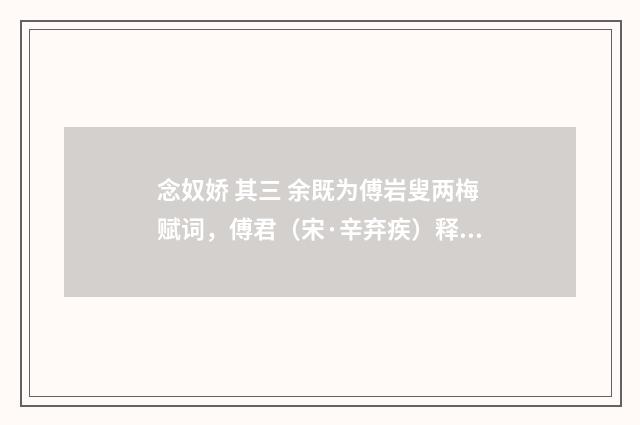 念奴娇 其三 余既为傅岩叟两梅赋词，傅君（宋·辛弃疾）释义及解释