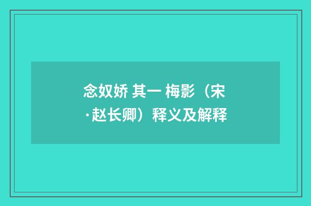 念奴娇 其一 梅影（宋·赵长卿）释义及解释