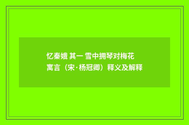 忆秦娥 其一 雪中拥琴对梅花寓言（宋·杨冠卿）释义及解释