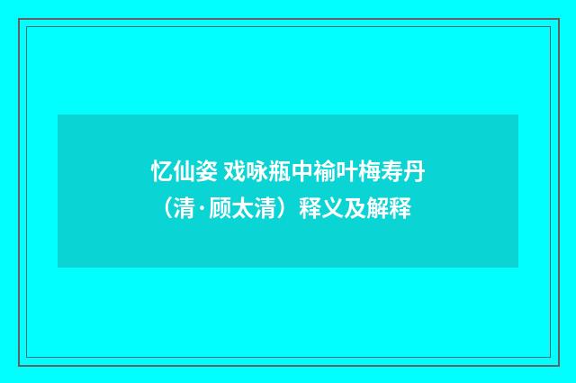 忆仙姿 戏咏瓶中褕叶梅寿丹（清·顾太清）释义及解释