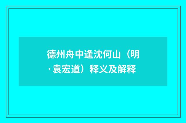 德州舟中逢沈何山（明·袁宏道）释义及解释