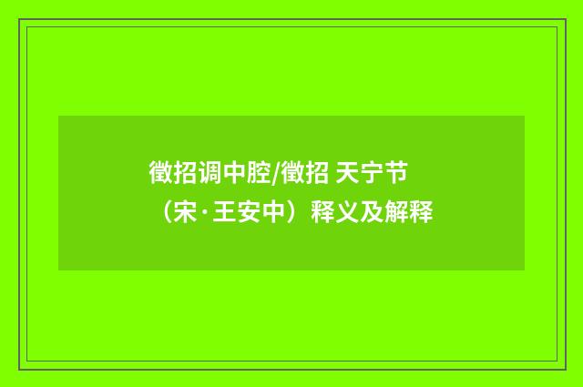 徵招调中腔/徵招 天宁节（宋·王安中）释义及解释