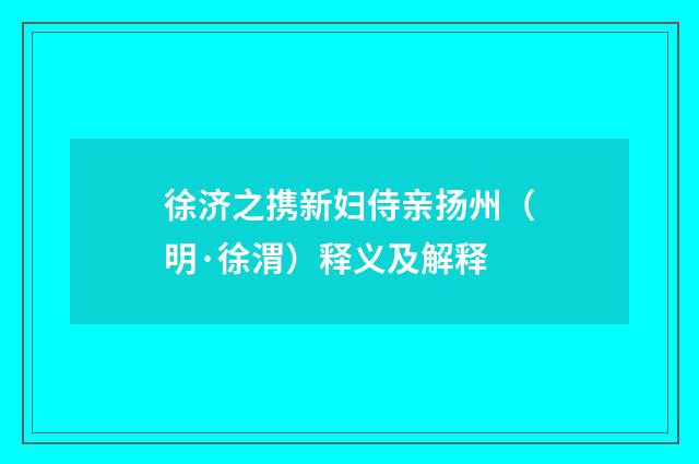 徐济之携新妇侍亲扬州（明·徐渭）释义及解释