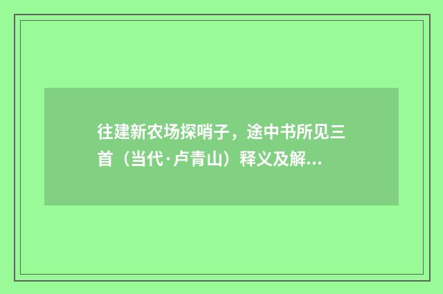 往建新农场探哨子，途中书所见三首（当代·卢青山）释义及解释