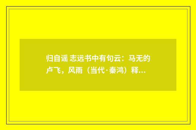 归自谣 志远书中有句云：马无的卢飞，风雨（当代·秦鸿）释义及解释