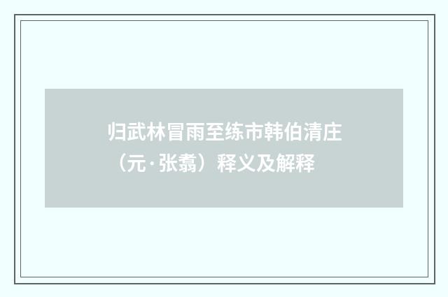 归武林冒雨至练市韩伯清庄（元·张翥）释义及解释