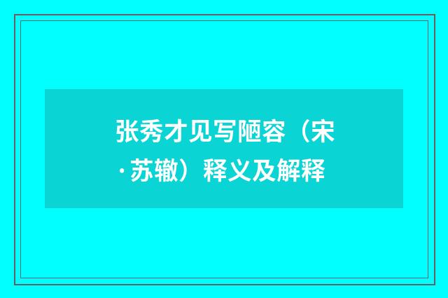 张秀才见写陋容（宋·苏辙）释义及解释