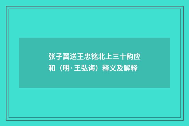 张子翼送王忠铭北上三十韵应和（明·王弘诲）释义及解释