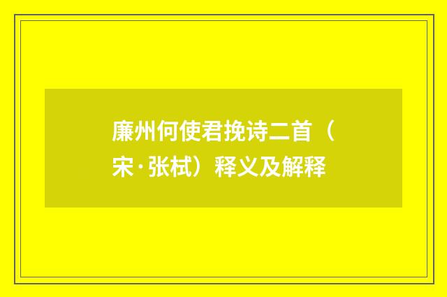 廉州何使君挽诗二首（宋·张栻）释义及解释