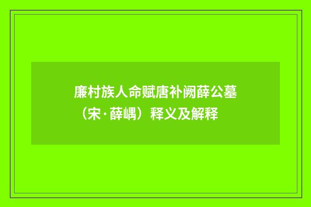 廉村族人命赋唐补阙薛公墓（宋·薛嵎）释义及解释