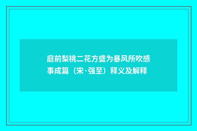 庭前梨桃二花方盛为暴风所吹感事成篇（宋·强至）释义及解释