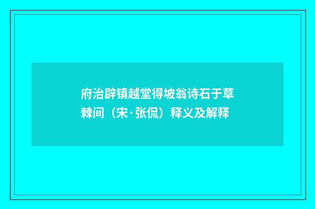 府治辟镇越堂得坡翁诗石于草棘间（宋·张侃）释义及解释