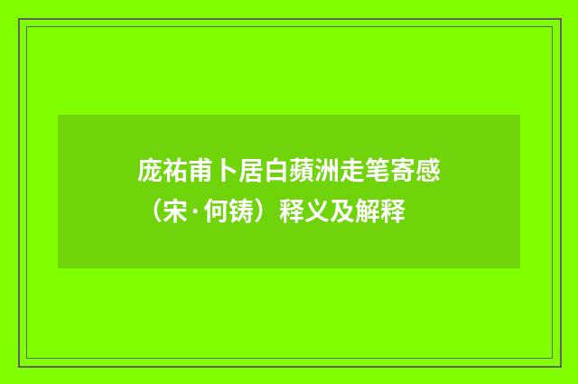 庞祐甫卜居白蘋洲走笔寄感（宋·何铸）释义及解释