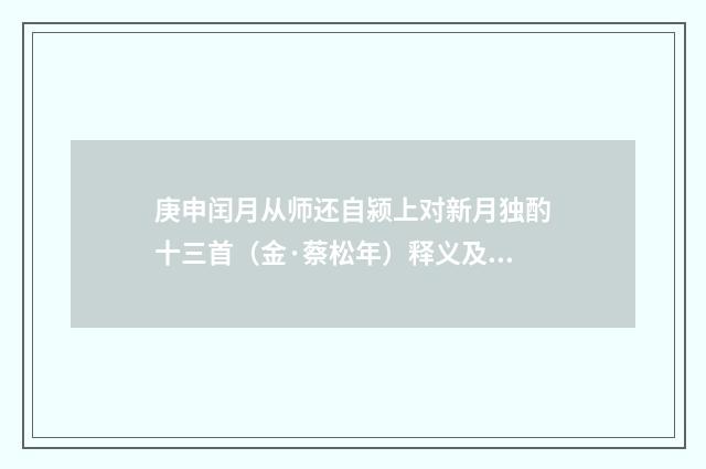 庚申闰月从师还自颍上对新月独酌十三首（金·蔡松年）释义及解释