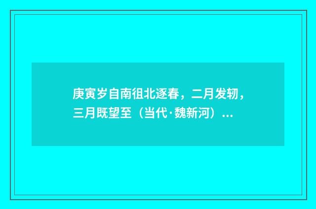 庚寅岁自南徂北逐春，二月发轫，三月既望至（当代·魏新河）释义及解释