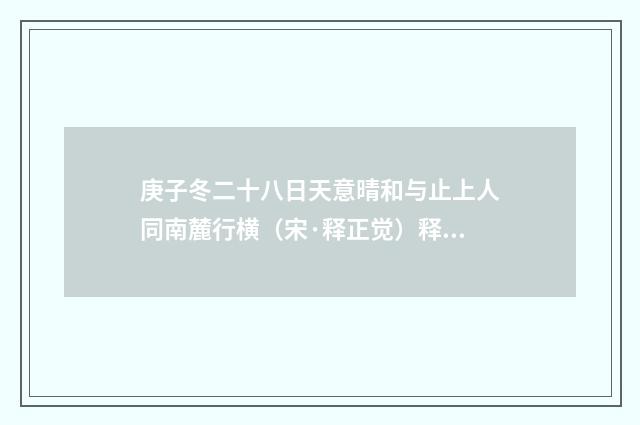 庚子冬二十八日天意晴和与止上人同南麓行横（宋·释正觉）释义及解释