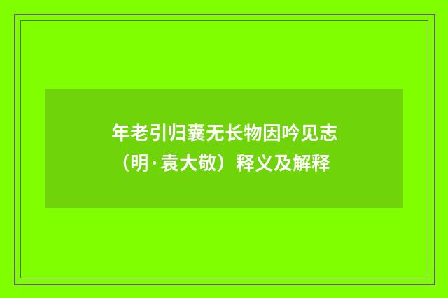 年老引归囊无长物因吟见志（明·袁大敬）释义及解释