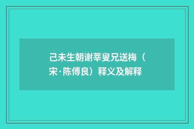 己未生朝谢莘叟兄送梅（宋·陈傅良）释义及解释
