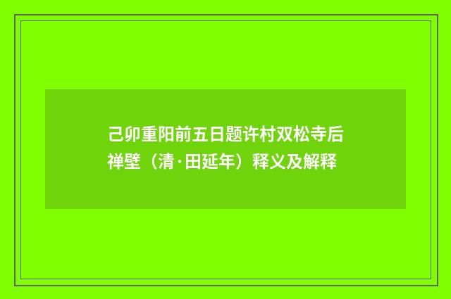 己卯重阳前五日题许村双松寺后禅壁（清·田延年）释义及解释