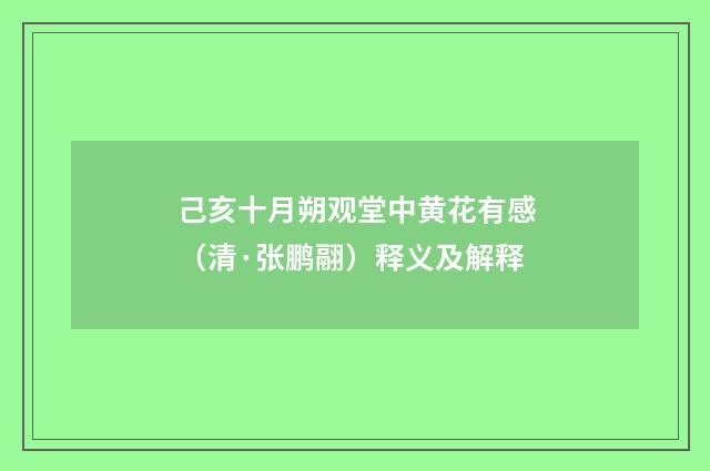 己亥十月朔观堂中黄花有感（清·张鹏翮）释义及解释