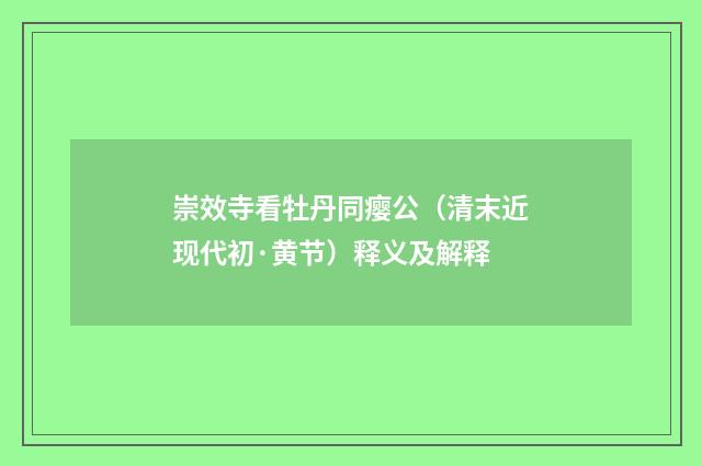 崇效寺看牡丹同瘿公（清末近现代初·黄节）释义及解释