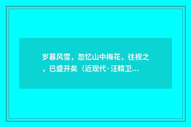 岁暮风雪，忽忆山中梅花，往视之，已盛开矣（近现代·汪精卫）释义及解释